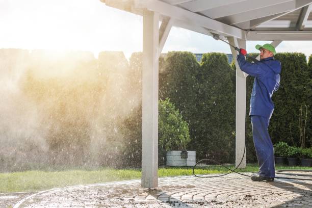 Animal Enclosure Cleaning in Terrace Park, OH